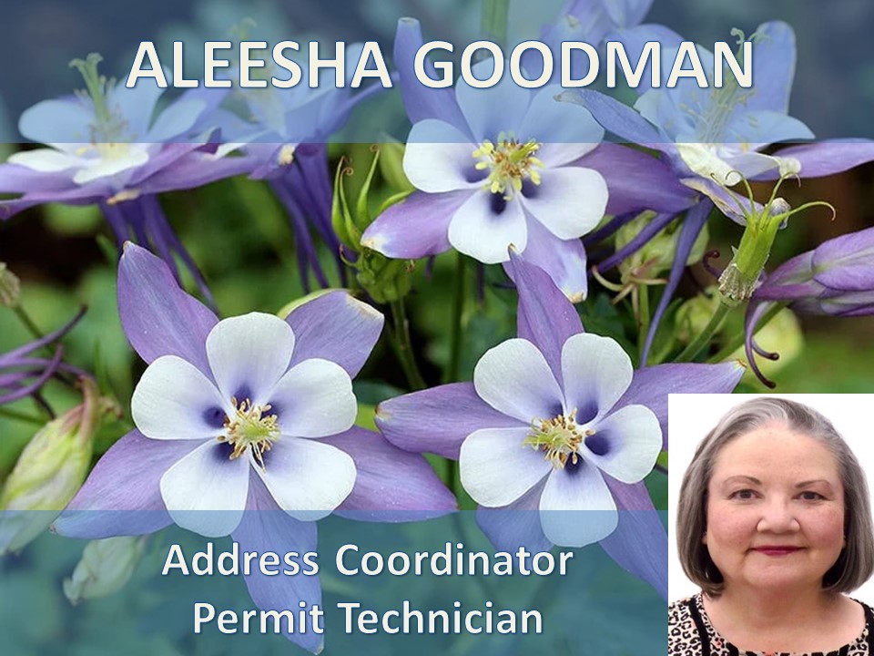 Picture of Aleesha Goodman, Address Coordinator - Permit Technician