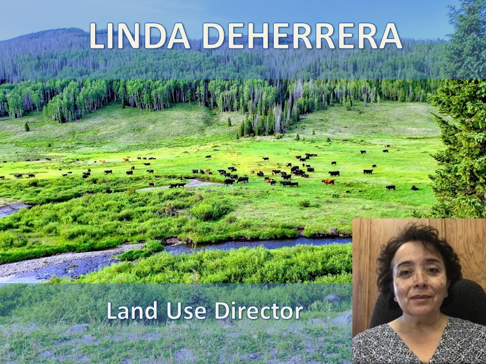 Picture of Linda Deherrera, Land Use Director